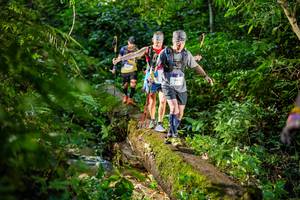 BIB: 
                            <button type="button" onclick="openModal(18923285)" class="btn btn-primary btn-sm float-right btn-popup" data-toggle="modal" data-target=".modal-high-quality">
                        <i class="fas fa-shopping-cart"></i> Add to Cart
                    </button>
                                            <button type="button" onclick="isThisMe(18923285, true)" class="btn btn-success btn-sm float-right btn-popup btn-isme hidden" data-toggle="tooltip" data-placement="bottom" title="นี่คือรูปของคุณใช่ไหม คลิกที่นี่เพื่อเอาเข้าอัลบั้ม">
                        <i class="fas fa-plus"></i> Add to album
                    </button>
                    <button type="button" onclick="isThisMe(18923285, false)" class="btn btn-warning btn-sm float-right btn-popup btn-isnotme hidden">
                        <i class="fas fa-ban"></i> Remove from album
                    </button>